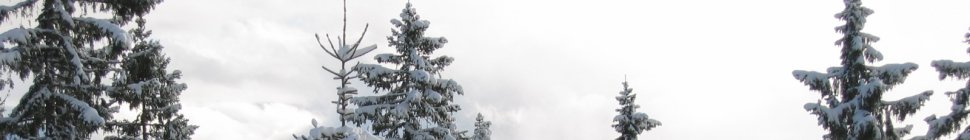 thinktoomuch.net header image 2