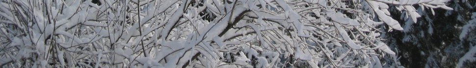thinktoomuch.net header image 3